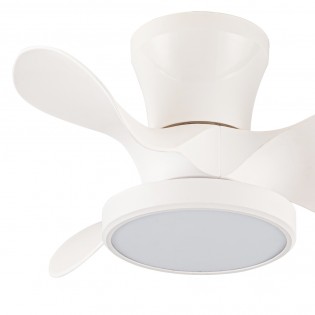 MOLL BLANCO