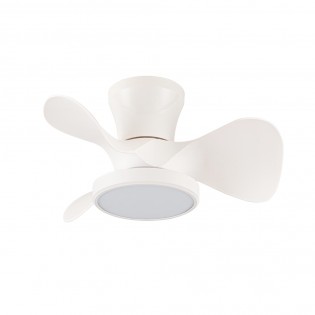 MOLL BLANCO