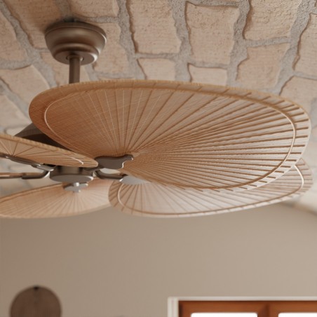 Ceiling Fan Lola