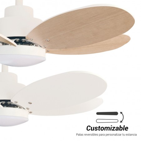 Ventilator mit LED-Licht Rainbow CCT (18W)