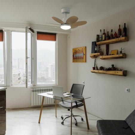 Ventilator mit LED-Licht Rainbow CCT (18W)