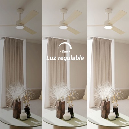 LED Ceiling Fan Baloo Evo L CCT Dim (20W)