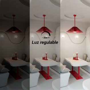 LED Ceiling Fan Terra CCT Dim (18W)