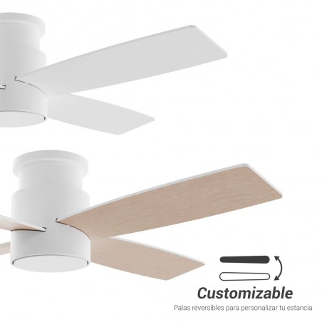 LED Ceiling Fan Taro CCT Dim (24W)
