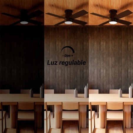 VT 106 DC 24W CCT DIM NG PLY TARO