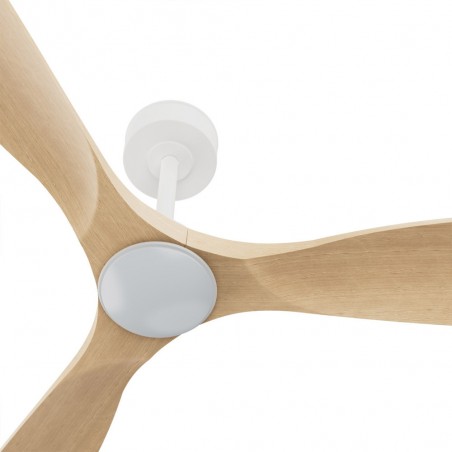 LED Ceiling Fan Carla S CCT Dim (21W)