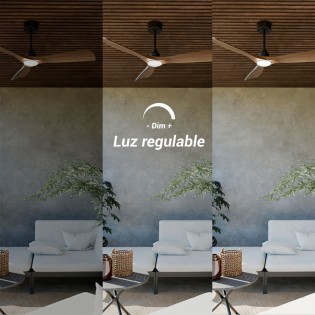 LED Ceiling Fan Carla L CCT Dim (21W)