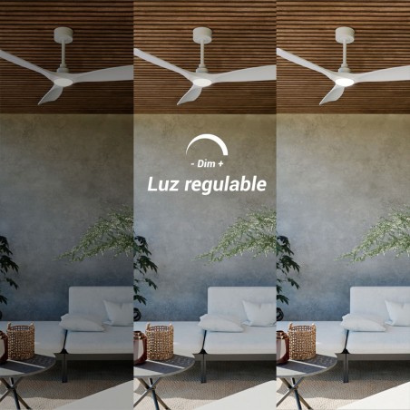 LED Ceiling Fan Carla L CCT Dim (21W)