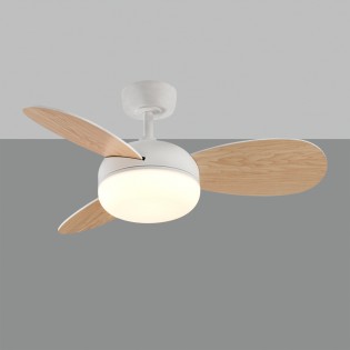 LED Ceiling fan Bise CCT (24W)