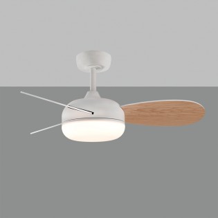LED Ceiling fan Bise CCT (24W)