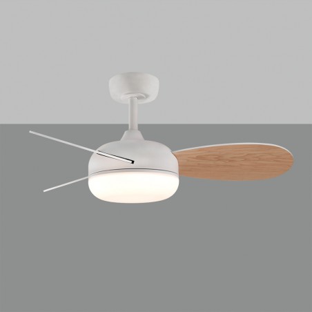 LED Ceiling fan Bise CCT (24W)