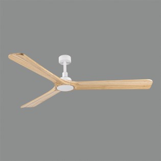 Ceiling fan Rok