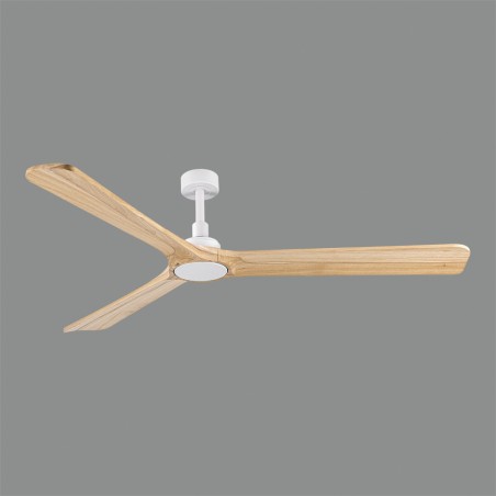 Ceiling fan Rok