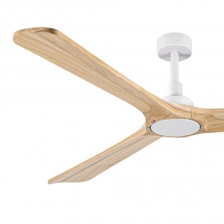 Ceiling fan Rok