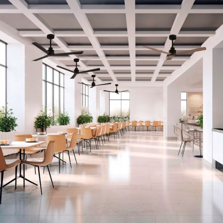 Ceiling fan Gregal