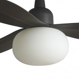 Ceiling Fan with light Palma M