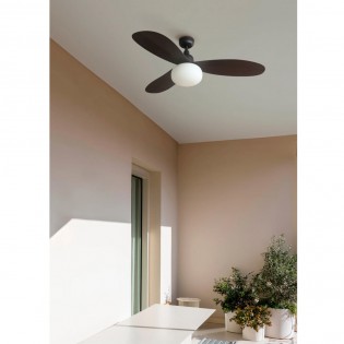 Ceiling Fan with light Palma M