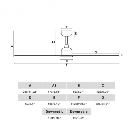 Ceiling Fan Palma M