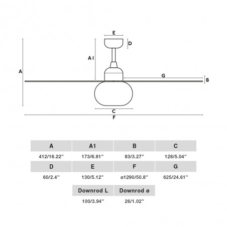 Ceiling Fan with light Palma M