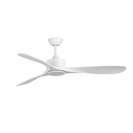 Ceiling Fan Luzon