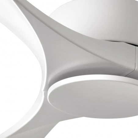 Ceiling Fan Luzon