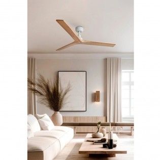 Ceiling fan Klim M