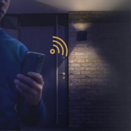 Outdoor LED Wall Lamp Open Smart (2x5W)