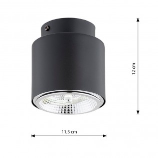 Ceiling spotlight Valeno Black