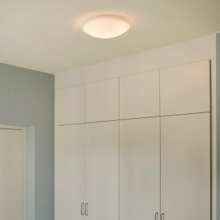 Ceiling Flush Light Standard 38