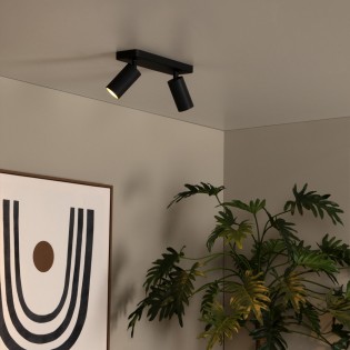 Ceiling Track Spotlight Clubs (2 lights)