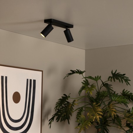 Ceiling Track Spotlight Clubs (2 lights)
