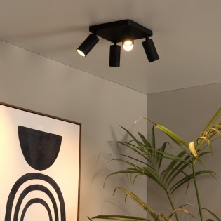 Ceiling Flush Light Clubs (4 lights)