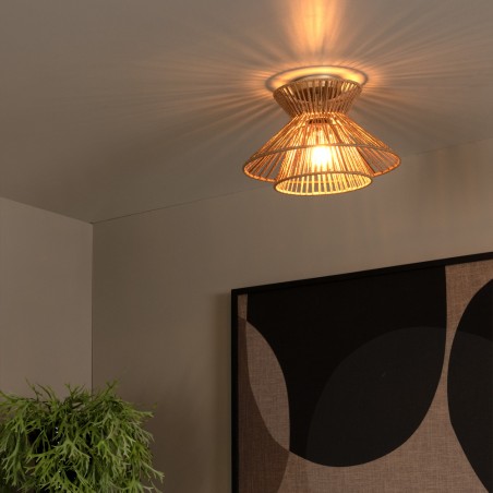 Ceiling Flush Light Tasman
