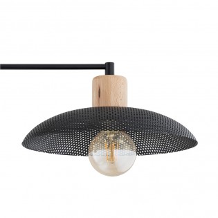 Ceiling lamp Briana Black (2 lights)