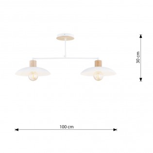 Lámpara de techo Briana Blanco (2 luces)