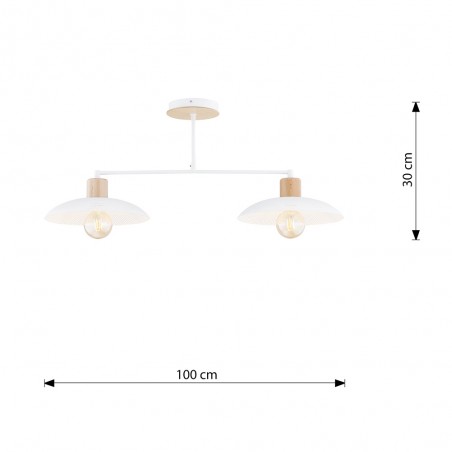 Ceiling lamp Briana White (2 lights)