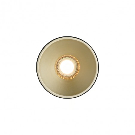 Ceiling Spotlight Torone