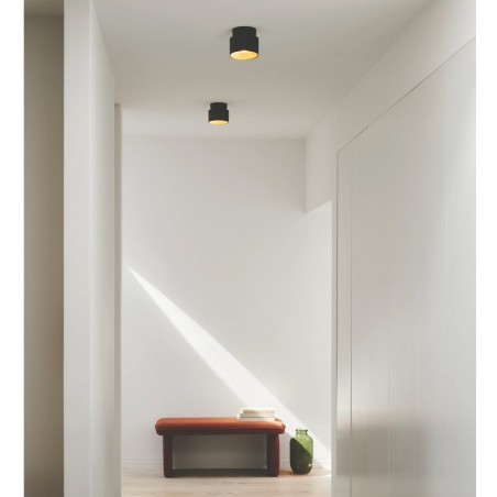 Ceiling Spotlight Torone