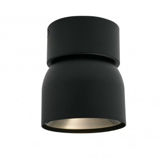 Ceiling Spotlight Pitcher