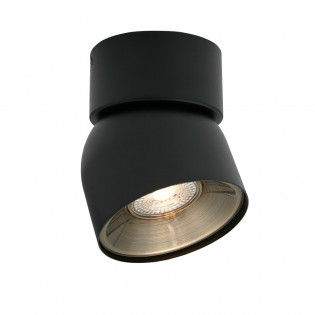 Ceiling Spotlight Pitcher