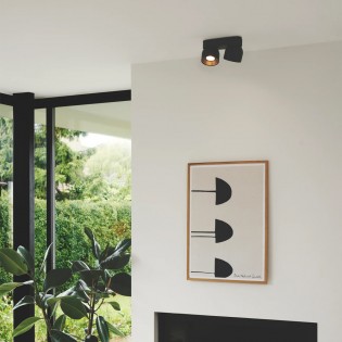 Ceiling strip Pitcher (2 lights)