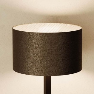 Floor Lamp Rems