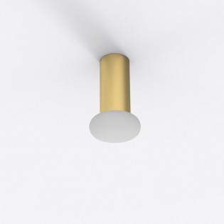 Ceiling Flush Light Rina