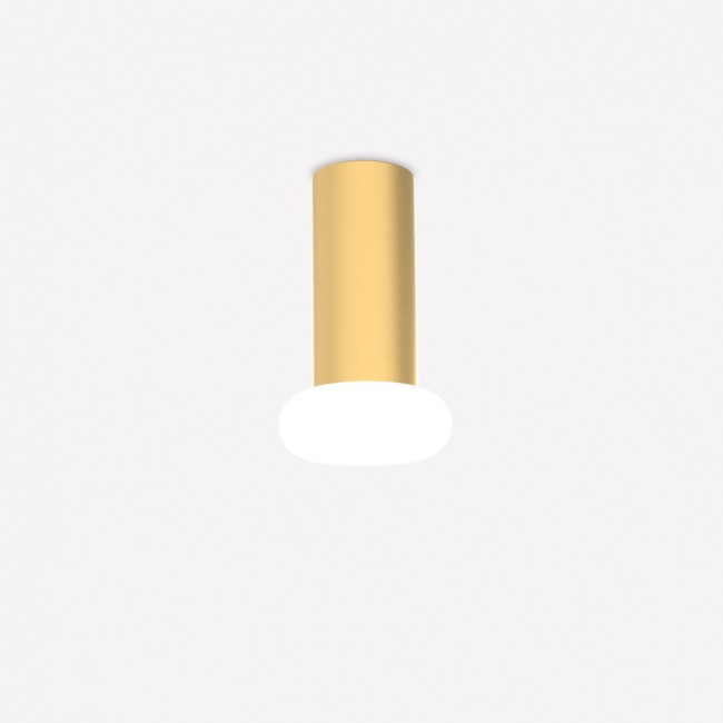 Ceiling Flush Light Rina