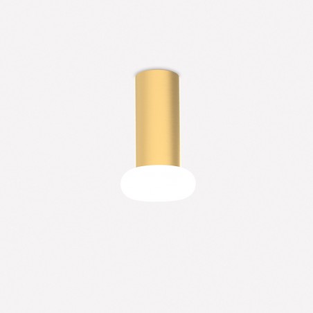 Ceiling Flush Light Rina