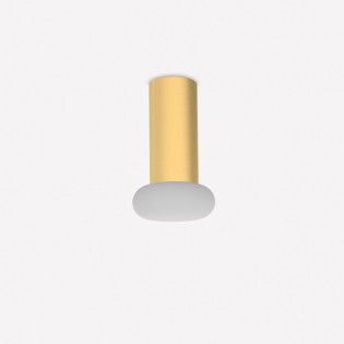 Ceiling Flush Light Rina