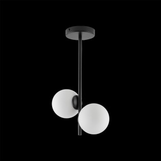 Flush light Carla (2 lights)
