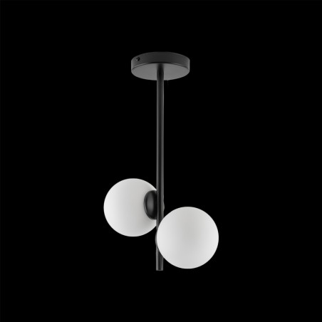 Flush light Carla (2 lights)