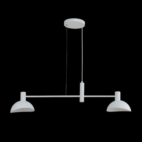 Lámpara de techo Artistika (2 Luces)
