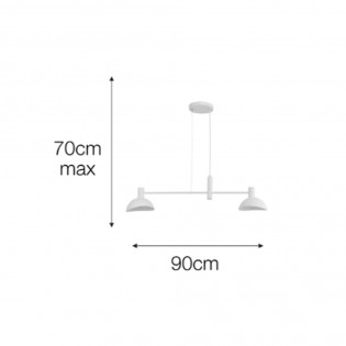 Lámpara de techo Artistika (2 Luces)